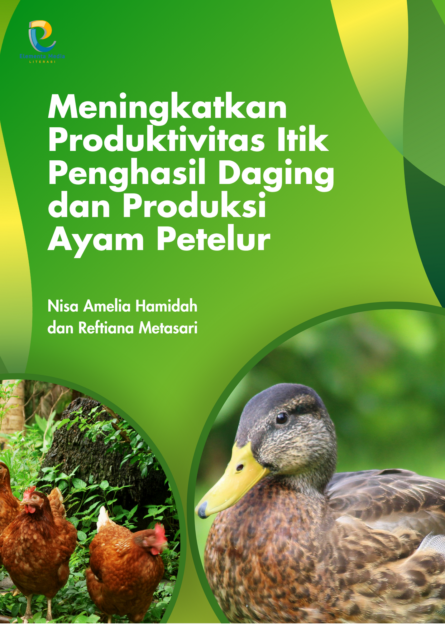 Meningkatkan Produktivitas Itik Penghasil Daging dan Produksi Ayam Petelur